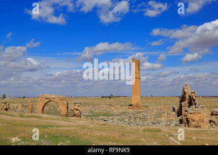 Die weltweit älteste Universität in Ruinen, (7. Jahrhundert) Harran, Türkei Stockfoto