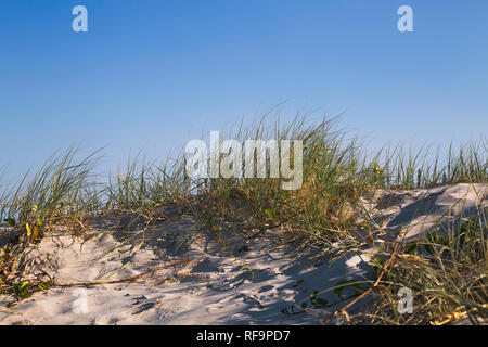 Gras bewachsenen Sanddüne vor blauem Himmel Stockfoto