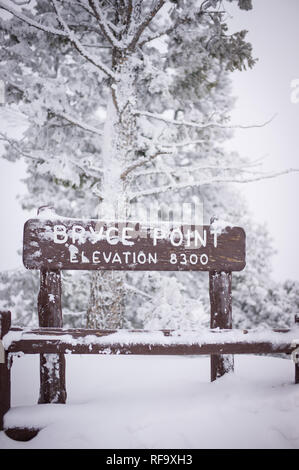 Höhe Bryce Canyon National Park, Paunsaugunt Plateau, Utah, Schnee im Winter, die Gegensatz zum berühmten roten Rock im Park Hoodoos Stockfoto