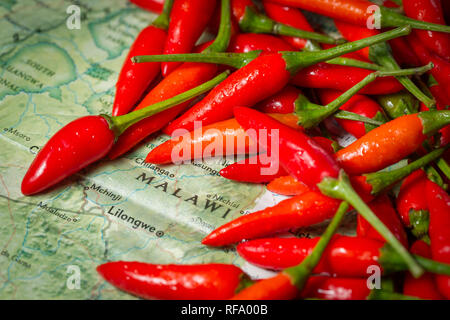 Bird's Eye Chili, Capsicum annuum, auch bekannt als piri piri ist ein gemeinsames Element in Küche aus Malawi. Stockfoto