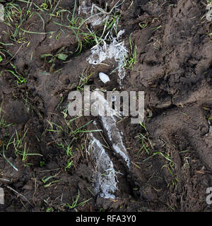 Studie über die Rugby Pitch Trefil, Wales. Stockfoto