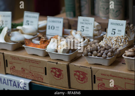 San Francisco, Kalifornien, USA, hat viele Märkte, bei dem frische Lebensmittel wie diese Pilze kaufen. Stockfoto