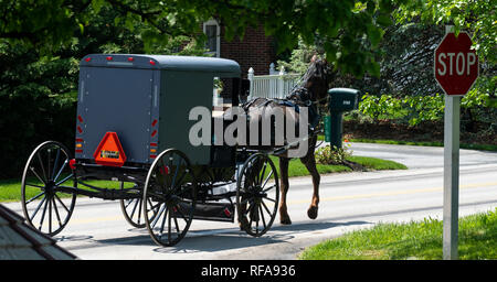 Amish Pferd und Buggy fahren auf der Straße an einem sonnigen Sommertag Stockfoto