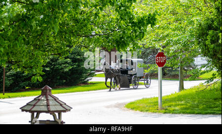 Amish Pferd und Buggy fahren auf der Straße an einem sonnigen Sommertag Stockfoto