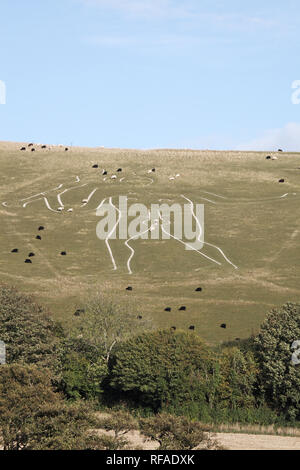 Cerne Abbas Giant Cerne Abbas Dorset England UK Stockfoto