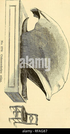 . Katalog von Abgüssen von Fossilien, von den wichtigsten Museen von Europa und Nordamerika, mit kurzen Beschreibungen und Abbildungen. Fossilien. . Bitte beachten Sie, dass diese Bilder sind von der gescannten Seite Bilder, die digital für die Lesbarkeit verbessert haben mögen - Färbung und Aussehen dieser Abbildungen können nicht perfekt dem Original ähneln. extrahiert. Bezirk, Henry A. (Henry Augustus), 1834-1906. Rochester, N.Y., Benton & Amp; Andrews, Drucker Stockfoto