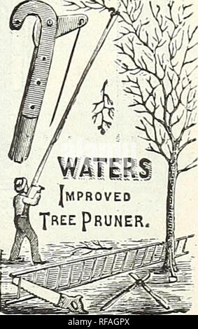 . Katalog der Blumenzwiebeln, Pflanzen und Samen für den Herbst einpflanzen. : 1895. Saatgut Industrie und Handel Kataloge; Gemüse; Blumen Samen Samen Kataloge Kataloge; Gräser, Samen Kataloge. Fernschreiber BAUM GARTENSCHERE. Die Messer wieder von einer Uhr Feder geworfen wird, kann es durch ein Seil betrieben werden und einem Griff in beliebiger Länge können angehängt werden. Pilce, ohne Pde ^ $ 1,00.. Bitte beachten Sie, dass diese Bilder sind von der gescannten Seite Bilder, die digital für die Lesbarkeit verbessert haben mögen - Färbung und Aussehen dieser Abbildungen können nicht perfekt dem Original ähneln. extrahiert. Peter Henderson &Amp; Co; Henne Stockfoto