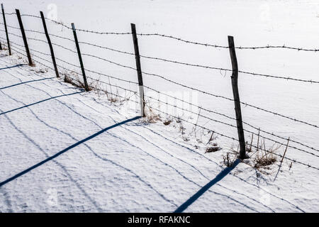 Stacheldraht zaun wirft Schatten auf Neuschnee; Vandaveer Ranch; Salida, Colorado, USA Stockfoto