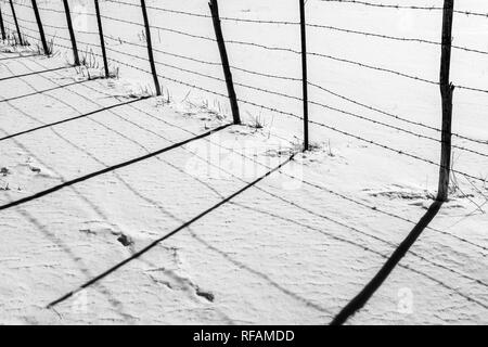 Schwarz-weiß-Ansicht der Stacheldrahtzaun wirft Schatten auf Neuschnee; Vandaveer Ranch; Salida, Colorado, USA Stockfoto