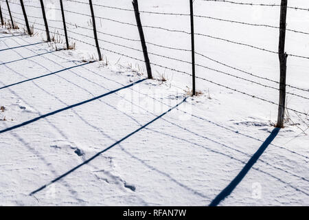 Stacheldraht zaun wirft Schatten auf Neuschnee; Vandaveer Ranch; Salida, Colorado, USA Stockfoto