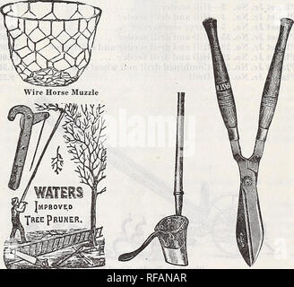 . Katalog 1918. Baumschulen (Gartenbau) Tennessee Memphis Kataloge; Baumschulen Tennessee Memphis Kataloge; Blumen Tennessee Memphis Tennessee Memphis Kataloge; Gemüse; Früchte Tennessee Memphis Kataloge Kataloge; Gartenarbeit Tennessee Memphis Ausrüstung und-Support. Garten Haspel Beat Spaten Nr. 217 ein Umpflanzen Kelle Hoe. Acme Kartoffel Pflanzmaschine Heckenschere. Bitte beachten Sie, dass diese Bilder sind von der gescannten Seite Bilder, die digital für die Lesbarkeit verbessert haben mögen - Färbung und Aussehen dieser Abbildungen können nicht perfekt dem Original ähneln. extrahiert. Otto Schwill & Amp Stockfoto