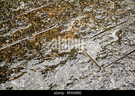 Miracema Granit Pflaster nass durch den Regen. Florianopolis, Santa Catarina, Brasilien. Stockfoto