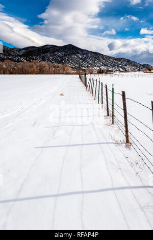 Stacheldraht zaun wirft Schatten auf Neuschnee; Vandaveer Ranch; Salida, Colorado, USA Stockfoto