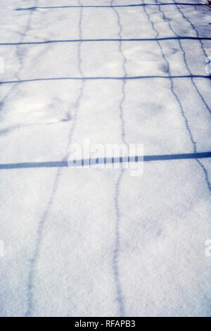 Stacheldraht zaun wirft Schatten auf Neuschnee; Vandaveer Ranch; Salida, Colorado, USA Stockfoto