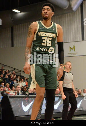 Oshkosh, Wisconsin, USA. 23 Jan, 2019. Wisconsin Herde vorwärts Christian Holz feiert einen Korb während eines NBA-G-League Spiel zwischen der windigen Stadt Stiere und der Wisconsin Herde am Menominee Nation Arena in Oshkosh, Wisconsin. Ricky Bassman/CSM/Alamy leben Nachrichten Stockfoto