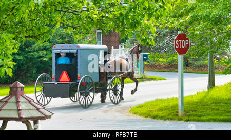 Amish Pferd und Buggy fahren auf der Straße an einem sonnigen Sommertag Stockfoto