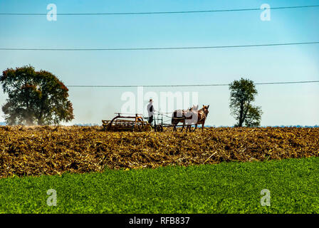 Amischen Farmer Pflügen der Felder an einem warmen Sommertag Stockfoto