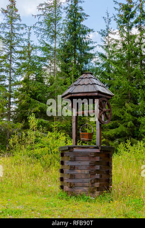 Eine hölzerne gut auf die Ränder einer Tanne Wald gelegen, in einer ländlichen Region in Rumänien Stockfoto