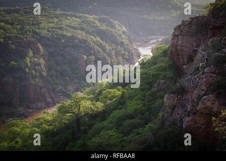 Lanner Gorge, die von den Luvuvhu Fluss geschnitzt, in der Pafuri Region im äußersten Norden von Kruger National Park, der eine atemberaubende Reiseziel für einen Saf Stockfoto