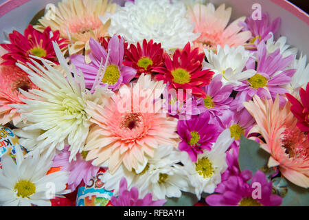 Blumenstrauß Rosen Gerbera Blumen Nelken. Rosen, Gerbera und anderen Blumen als eine bunte natürliche Hintergrund Bild mit weißen, Yel angeordnet Stockfoto