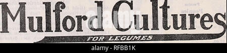 . Katalog 1918. Baumschulen (Gartenbau) Tennessee Memphis Kataloge; Baumschulen Tennessee Memphis Kataloge; Blumen Tennessee Memphis Tennessee Memphis Kataloge; Gemüse; Früchte Tennessee Memphis Kataloge Kataloge; Gartenarbeit Tennessee Memphis Ausrüstung und-Support. Buschklee oder Japan alsyke Clover Clover Clover Impfen ihre Samen mit. Versicherung besser und größer Kulturpflanzen. Bitte beachten Sie, dass diese Bilder sind von der gescannten Seite Bilder, die digital für die Lesbarkeit verbessert haben mögen - Färbung und Aussehen dieser Abbildungen können nicht perfekt dem Original ähneln. extrahiert. O Stockfoto