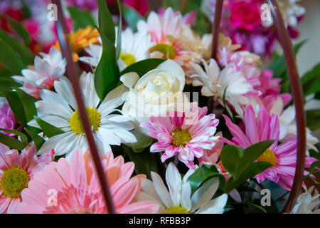 Blumenstrauß Rosen Gerbera Blumen Nelken. Rosen, Gerbera und anderen Blumen als eine bunte natürliche Hintergrund Bild mit weißen, Yel angeordnet Stockfoto