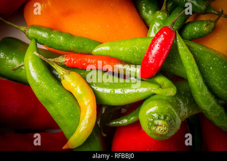 Peperoni stammen aus einer Vielzahl von Sorten innerhalb von Capsicum sp. Und ihre Wärme von Capsaicin. Stockfoto