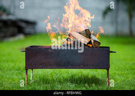 Close-up hell brennen in Metall box Protokolle Brennholz zum Grillen im Freien an einem sonnigen Sommertag. Orange Flamme verschwommen blauer Himmel und grünes Gras Stockfoto