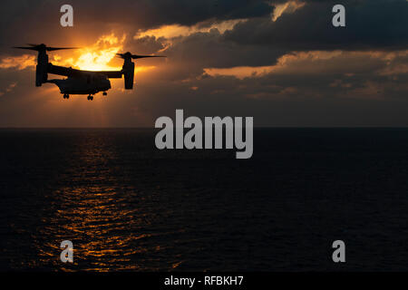 Eine MV-22 B Osprey tiltrotor Flugzeugen Marine Medium Tiltrotor Squadron 262 (Verstärkt) Ansätze der Amphibisches Schiff USS Wasp (LHD 1) Bei Flugbetrieb im philippinischen Meer, Jan. 23, 2019 im Gange. Naval aviators mit VMM-262 (Lauf), der tiltrotor Komponente der Luftfahrt des 31 Marine Expeditionary Unit Combat Element, eine Vielzahl von Missionen für die Luftfahrt 31 MEU, einschließlich Troop Transport, schweren und mittleren Aufzug durchführen, Feste-wing attack Support und Luftaufklärung. Die 31. MEU, das Marine Corps' nur kontinuierlich vorwärts - bereitgestellt MEU partnering Stockfoto