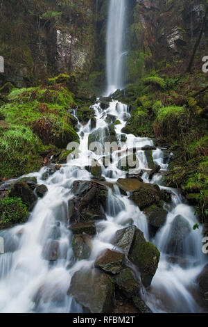 Vauvillers fällt, Resolven, Vale von Neath, West Glamorgan, Wales Stockfoto