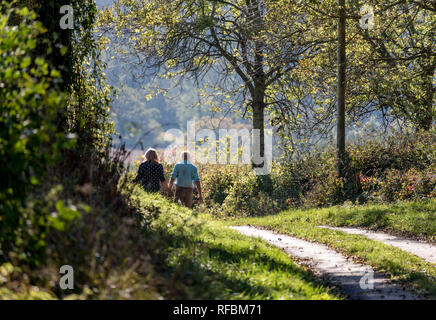 Ein Spaziergang auf einem Herbst am Nachmittag in der Sonne Stockfoto