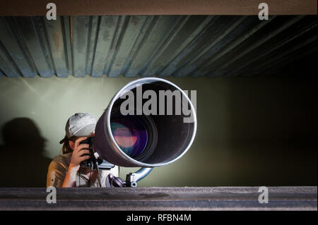 Onguma Game Reserve ist eine Private Reserve auf der östlichen Grenze des Etosha National Park, bietet einen atemberaubenden trockenen Landschaften und ausgezeichnete Wildlife Stockfoto