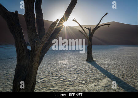 Tote Bäume stehen Wache über Deadvlei, Namib-Naukluft-Nationalpark, Namibia; die Pan hatte einmal Wasser aus der Tsauchab Fluss, aber jetzt ist es getrocknet Stockfoto