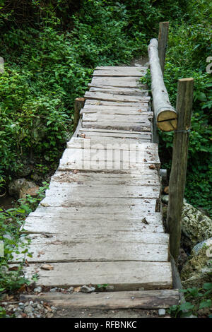 Holzbrücke von Planken von Holz im Wald mit Handlauf Stockfoto