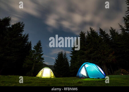 Zwei hell leuchtende, touristische Zelte auf der grünen Wiese Wald Lichtung unter hohen Kiefern auf klaren dunkelblauen Sternenhimmel Hintergrund. Tourismus, Nacht Camping Stockfoto
