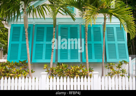 Blick auf den bezaubernden bunten Fensterläden von tropischen Palmen und einem weißen Lattenzaun in einer Wohnstraße in Key West, Florida, USA gerahmt Stockfoto