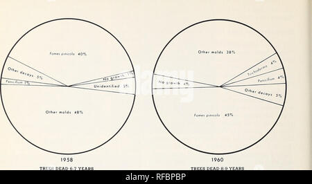 . Die Verschlechterung der Käfer getötet Douglas-fir In westlichen Oregon und Washington. . Bitte beachten Sie, dass diese Bilder sind von der gescannten Seite Bilder, die digital für die Lesbarkeit verbessert haben mögen - Färbung und Aussehen dieser Abbildungen können nicht perfekt dem Original ähneln. extrahiert. Wright, Kenneth H; Harvey, G. M. (George Mather), 1922. Portland, OR. : Pacific Northwest Wald und Experiment Station, Forest Service, US, Abt. Landwirtschaft Stockfoto