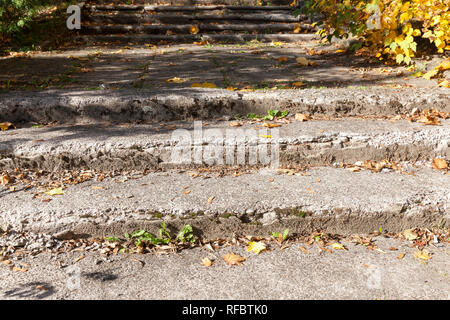 Alte Betontreppen mit Laub im Herbst Jahreszeit abgedeckt haben eine Menge Schaden wie die Treppe selbst Stockfoto
