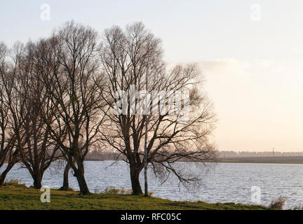 Ufer eines großen Sees, mit Gras und Bäumen am Ufer ohne Laub, Landschaft Stockfoto
