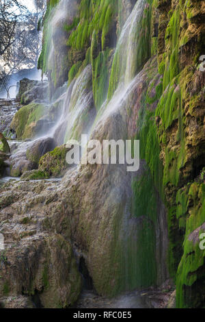 Ein konstanter Durchfluss aus kristallklarem Quellwasser über das Moos und Steine von Gorman fällt in Colorado Bend State Park im Zentrum von Texas, USA. Stockfoto