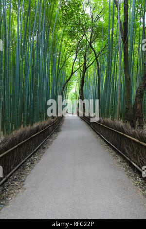 Weg durch den Bambuswald in Arashiyama, Kyoto in Japan. Das Bamboo Grove ist ein berühmtes Reiseziel in Japan Stockfoto