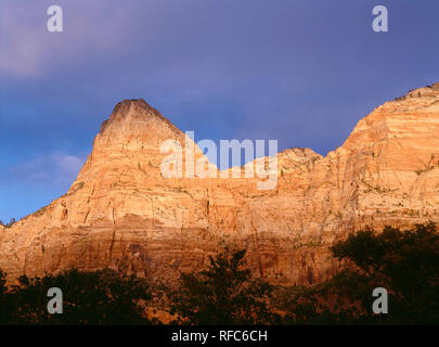 USA, Utah, Zion National Park, Clearing Sturm- und Abendlicht auf Brücke Berg, in der nähe Eingang Süd. Stockfoto