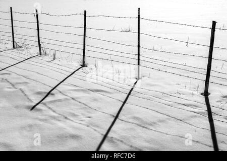Schwarz-weiß-Ansicht der Stacheldrahtzaun wirft Schatten auf Neuschnee; Vandaveer Ranch; Salida, Colorado, USA Stockfoto