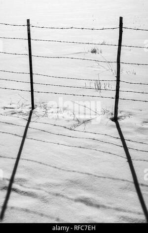 Schwarz-weiß-Ansicht der Stacheldrahtzaun wirft Schatten auf Neuschnee; Vandaveer Ranch; Salida, Colorado, USA Stockfoto