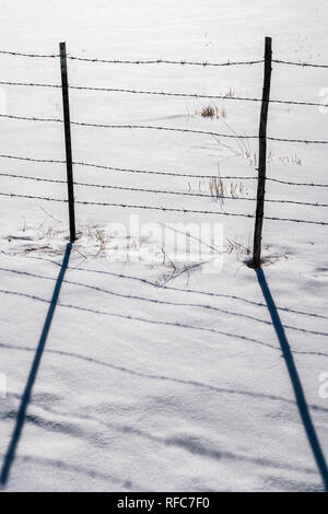 Stacheldraht zaun wirft Schatten auf Neuschnee; Vandaveer Ranch; Salida, Colorado, USA Stockfoto