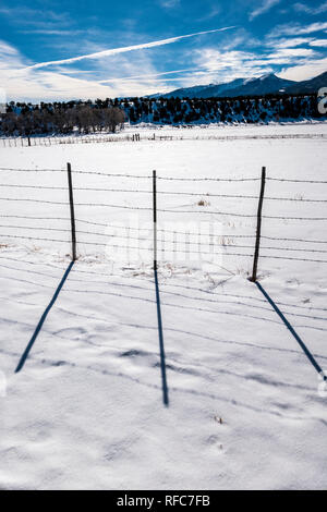 Stacheldraht zaun wirft Schatten auf Neuschnee; Vandaveer Ranch; Salida, Colorado, USA Stockfoto