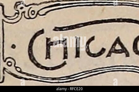 . Neuheiten und Spezialitäten für 1897. Baumschulen Illinois Chicago Kataloge; Samen Sorten Kataloge; Blumen Samen Kataloge; Lampen; Blühende Sträucher Pflanzen Kataloge Kataloge. . Bitte beachten Sie, dass diese Bilder sind von der gescannten Seite Bilder, die digital für die Lesbarkeit verbessert haben mögen - Färbung und Aussehen dieser Abbildungen können nicht perfekt dem Original ähneln. extrahiert. W. W. Barnard &Amp; Co; Henry G. Gilbert Baumschule und Saatgut Handel Katalog Kollektion. Chicago, Illinois: W. W. Barnard &Amp; Co. Stockfoto