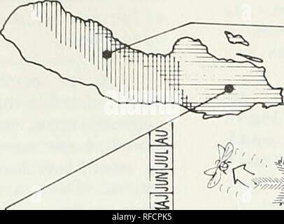 . Aktuelle Themen in waldentomologie: Ausgewählte Vorträge aus dem XV. Internationalen Kongress der Entomologie, Washington, D.C., 1976. Wald Insekten Kongresse. . Bitte beachten Sie, dass diese Bilder sind von der gescannten Seite Bilder, die digital für die Lesbarkeit verbessert haben mögen - Färbung und Aussehen dieser Abbildungen können nicht perfekt dem Original ähneln. extrahiert. Internationalen Kongresses der Entomologie (15.: 1976: Washington, D.C.). Washington: United States Abt. Landwirtschaft, Forest Service Stockfoto