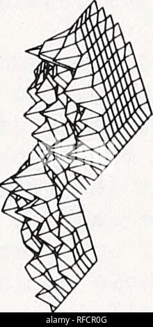 . Aktuelle Themen in waldentomologie: Ausgewählte Vorträge aus dem XV. Internationalen Kongress der Entomologie, Washington, D.C., 1976. Wald Insekten Kongresse. . Bitte beachten Sie, dass diese Bilder sind von der gescannten Seite Bilder, die digital für die Lesbarkeit verbessert haben mögen - Färbung und Aussehen dieser Abbildungen können nicht perfekt dem Original ähneln. extrahiert. Internationalen Kongresses der Entomologie (15.: 1976: Washington, D.C.). Washington: United States Abt. Landwirtschaft, Forest Service Stockfoto