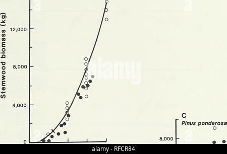 . CLIMACS: ein Computer Modell des Waldbestandes Entwicklung für die westlichen Oregon und Washington. Die Wälder und die Forstwirtschaft Oregon Datenverarbeitung; die Wälder und die Forstwirtschaft Washington (State) Datenverarbeitung. 16.000. 0 50 100 150 250. Bitte beachten Sie, dass diese Bilder sind von der gescannten Seite Bilder, die digital für die Lesbarkeit verbessert haben mögen - Färbung und Aussehen dieser Abbildungen können nicht perfekt dem Original ähneln. extrahiert. Dale, Virginia H; Hemstrom, Meilen ein; Pacific Northwest Wald und Experiment Station (Portland, OR. ). Portland, OR. : Us Abt. Landwirtschaft, Wald Stockfoto